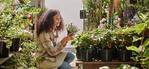 Small space gardening